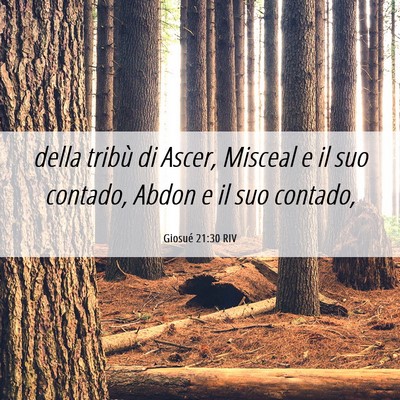 Picture 06 - Giosué 21:30 RIV - della tribù di Ascer, Misceal e il suo contado, - Bible Verse Picture