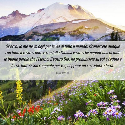 Picture 06 - Giosué 23:14 RIV - Or ecco, io me ne vo oggi per la via di tutto il - Bible Verse Picture
