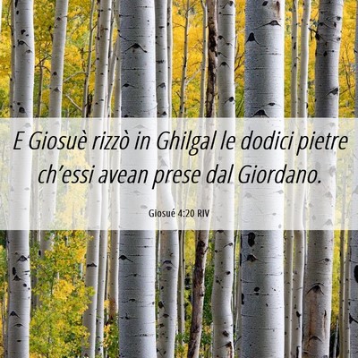 Picture 06 - Giosué 4:20 RIV - E Giosuè rizzò in Ghilgal le dodici pietre - Bible Verse Picture