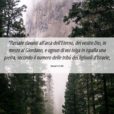 Picture 06 - Giosué 4:5 RIV - “Passate davanti all’arca dell’Eterno, del - Bible Verse Picture