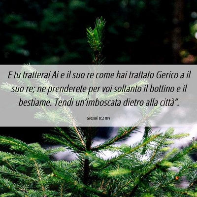 Picture 06 - Giosué 8:2 RIV - E tu tratterai Ai e il suo re come hai trattato - Bible Verse Picture