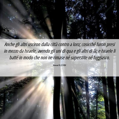 Picture 06 - Giosué 8:22 RIV - Anche gli altri usciron dalla città contro a - Bible Verse Picture