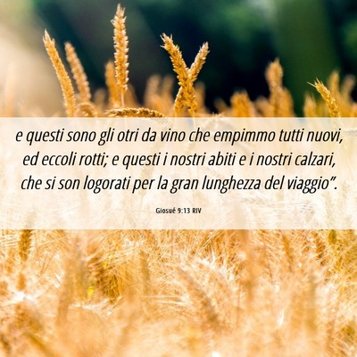 Picture 06 - Giosué 9:13 RIV - e questi sono gli otri da vino che empimmo tutti - Bible Verse Picture