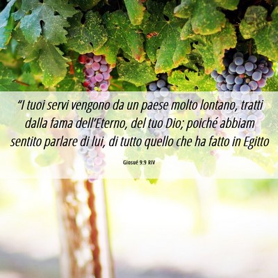 Picture 06 - Giosué 9:9 RIV - “I tuoi servi vengono da un paese molto - Bible Verse Picture