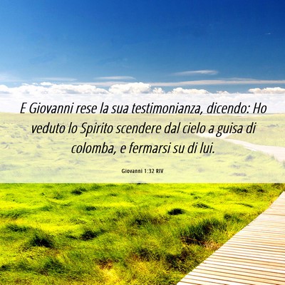 Picture 06 - Giovanni 1:32 RIV - E Giovanni rese la sua testimonianza, dicendo: Ho - Bible Verse Picture
