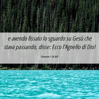 Picture 06 - Giovanni 1:36 RIV - e avendo fissato lo sguardo su Gesù che stava - Bible Verse Picture