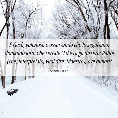 Picture 06 - Giovanni 1:38 RIV - E Gesù, voltatosi, e osservando che lo - Bible Verse Picture