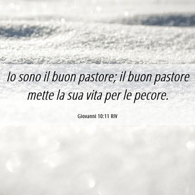Picture 06 - Giovanni 10:11 RIV - Io sono il buon pastore; il buon pastore mette la - Bible Verse Picture