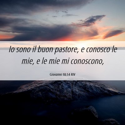 Picture 06 - Giovanni 10:14 RIV - Io sono il buon pastore, e conosco le mie, e le - Bible Verse Picture