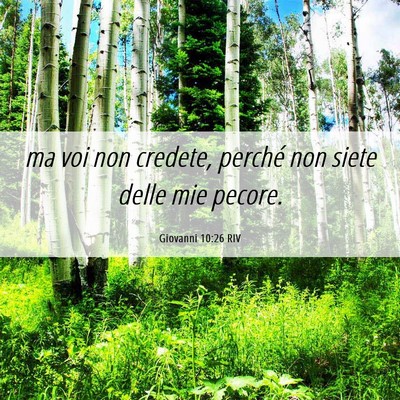 Picture 06 - Giovanni 10:26 RIV - ma voi non credete, perché non siete delle mie - Bible Verse Picture