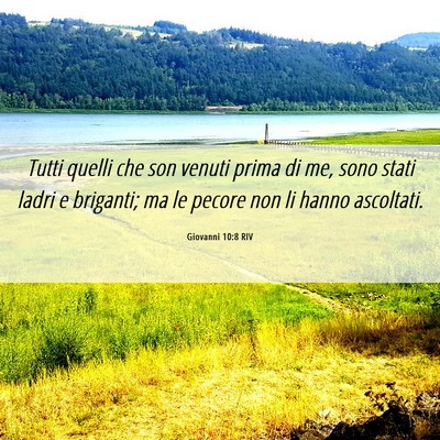 Picture 06 - Giovanni 10:8 RIV - Tutti quelli che son venuti prima di me, sono - Bible Verse Picture
