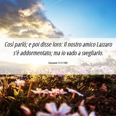 Picture 06 - Giovanni 11:11 RIV - Così parlò; e poi disse loro: Il nostro amico - Bible Verse Picture