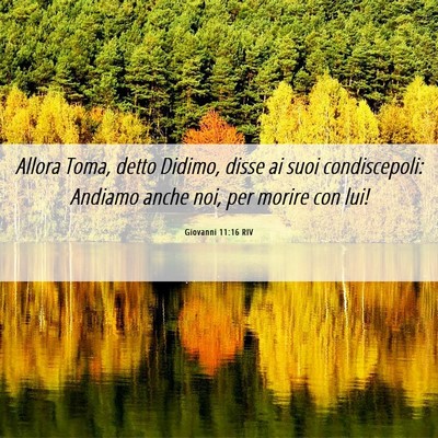 Picture 06 - Giovanni 11:16 RIV - Allora Toma, detto Didimo, disse ai suoi - Bible Verse Picture
