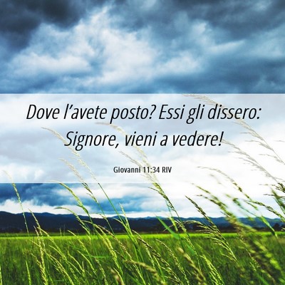 Picture 06 - Giovanni 11:34 RIV - Dove l’avete posto? Essi gli dissero: Signore, - Bible Verse Picture