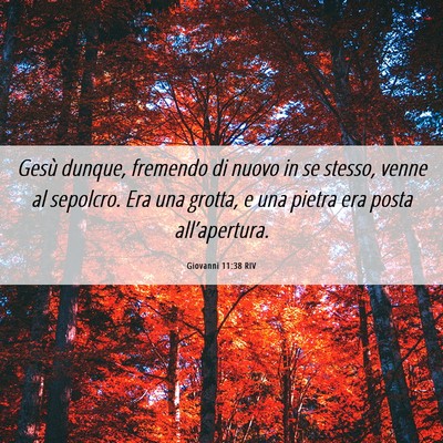 Picture 06 - Giovanni 11:38 RIV - Gesù dunque, fremendo di nuovo in se stesso, - Bible Verse Picture
