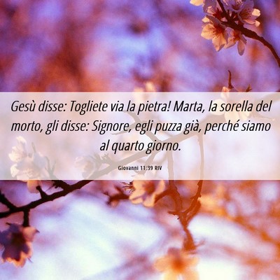 Picture 06 - Giovanni 11:39 RIV - Gesù disse: Togliete via la pietra! Marta, la - Bible Verse Picture