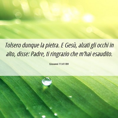 Picture 06 - Giovanni 11:41 RIV - Tolsero dunque la pietra. E Gesù, alzati gli - Bible Verse Picture