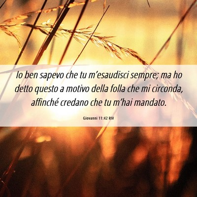 Picture 06 - Giovanni 11:42 RIV - Io ben sapevo che tu m’esaudisci sempre; ma ho - Bible Verse Picture