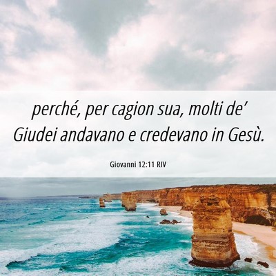 Picture 06 - Giovanni 12:11 RIV - perché, per cagion sua, molti de’ Giudei - Bible Verse Picture
