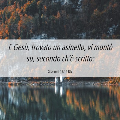 Picture 06 - Giovanni 12:14 RIV - E Gesù, trovato un asinello, vi montò su, - Bible Verse Picture
