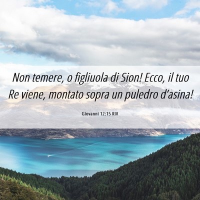 Picture 06 - Giovanni 12:15 RIV - Non temere, o figliuola di Sion! Ecco, il tuo Re - Bible Verse Picture