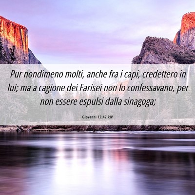 Picture 06 - Giovanni 12:42 RIV - Pur nondimeno molti, anche fra i capi, credettero - Bible Verse Picture