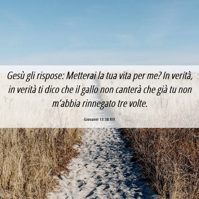 Picture 06 - Giovanni 13:38 RIV - Gesù gli rispose: Metterai la tua vita per me? - Bible Verse Picture