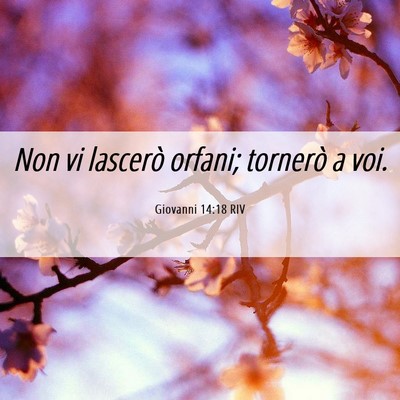 Picture 06 - Giovanni 14:18 RIV - Non vi lascerò orfani; tornerò a - Bible Verse Picture