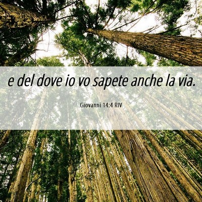 Picture 06 - Giovanni 14:4 RIV - e del dove io vo sapete anche la - Bible Verse Picture