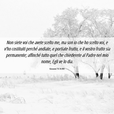 Picture 06 - Giovanni 15:16 RIV - Non siete voi che avete scelto me, ma son io che - Bible Verse Picture