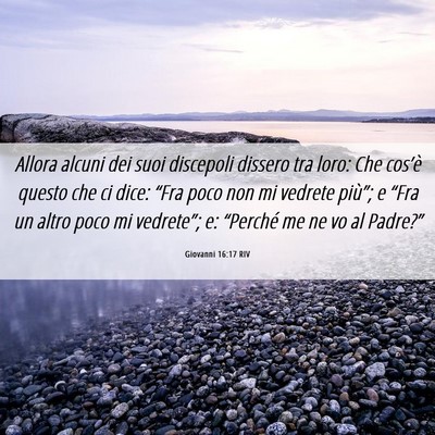 Picture 06 - Giovanni 16:17 RIV - Allora alcuni dei suoi discepoli dissero tra - Bible Verse Picture
