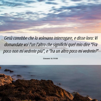 Picture 06 - Giovanni 16:19 RIV - Gesù conobbe che lo volevano interrogare, e - Bible Verse Picture