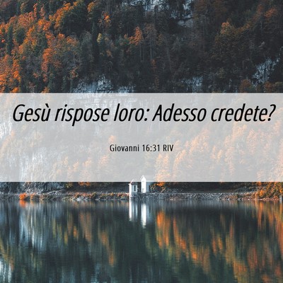Picture 06 - Giovanni 16:31 RIV - Gesù rispose loro: Adesso - Bible Verse Picture