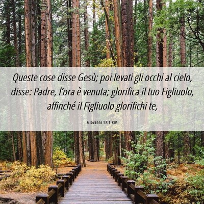 Picture 06 - Giovanni 17:1 RIV - Queste cose disse Gesù; poi levati gli occhi al - Bible Verse Picture