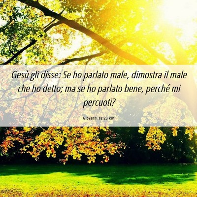 Picture 06 - Giovanni 18:23 RIV - Gesù gli disse: Se ho parlato male, dimostra il - Bible Verse Picture