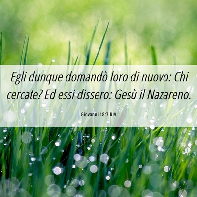 Picture 06 - Giovanni 18:7 RIV - Egli dunque domandò loro di nuovo: Chi cercate? - Bible Verse Picture