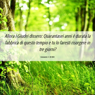 Picture 06 - Giovanni 2:20 RIV - Allora i Giudei dissero: Quarantasei anni è - Bible Verse Picture