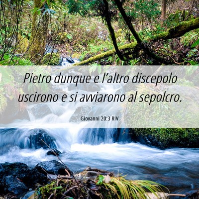 Picture 06 - Giovanni 20:3 RIV - Pietro dunque e l’altro discepolo uscirono e si - Bible Verse Picture