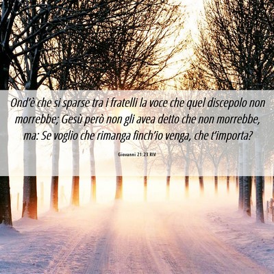Picture 06 - Giovanni 21:23 RIV - Ond’è che si sparse tra i fratelli la voce che - Bible Verse Picture
