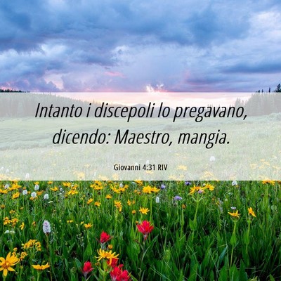 Picture 06 - Giovanni 4:31 RIV - Intanto i discepoli lo pregavano, dicendo: - Bible Verse Picture