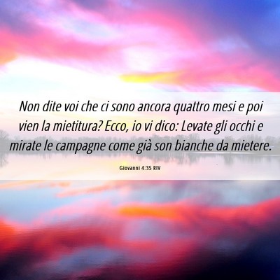 Picture 06 - Giovanni 4:35 RIV - Non dite voi che ci sono ancora quattro mesi e - Bible Verse Picture