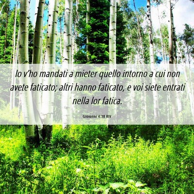 Picture 06 - Giovanni 4:38 RIV - Io v’ho mandati a mieter quello intorno a cui - Bible Verse Picture