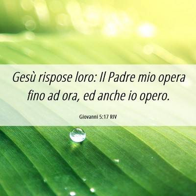 Picture 06 - Giovanni 5:17 RIV - Gesù rispose loro: Il Padre mio opera fino ad - Bible Verse Picture