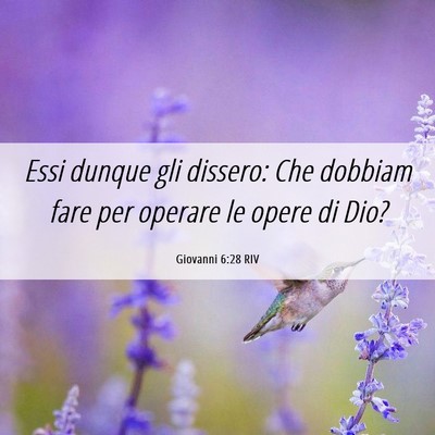 Picture 06 - Giovanni 6:28 RIV - Essi dunque gli dissero: Che dobbiam fare per - Bible Verse Picture