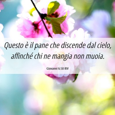 Picture 06 - Giovanni 6:50 RIV - Questo è il pane che discende dal cielo, - Bible Verse Picture