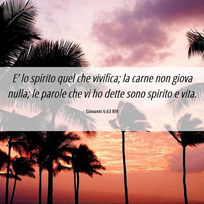 Picture 06 - Giovanni 6:63 RIV - E’ lo spirito quel che vivifica; la carne non - Bible Verse Picture