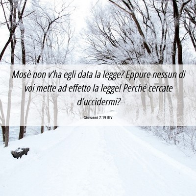 Picture 06 - Giovanni 7:19 RIV - Mosè non v’ha egli data la legge? Eppure - Bible Verse Picture