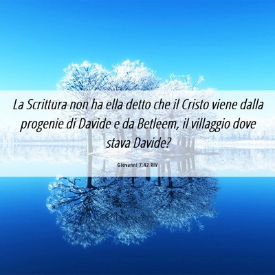 Picture 06 - Giovanni 7:42 RIV - La Scrittura non ha ella detto che il Cristo - Bible Verse Picture
