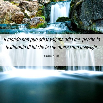 Picture 06 - Giovanni 7:7 RIV - Il mondo non può odiar voi; ma odia me, perché - Bible Verse Picture