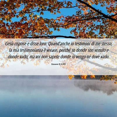 Picture 06 - Giovanni 8:14 RIV - Gesù rispose e disse loro: Quand’anche io - Bible Verse Picture